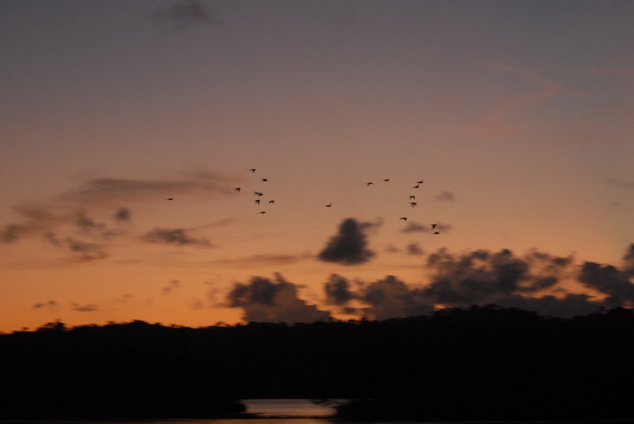 Sunset at Parrot Island