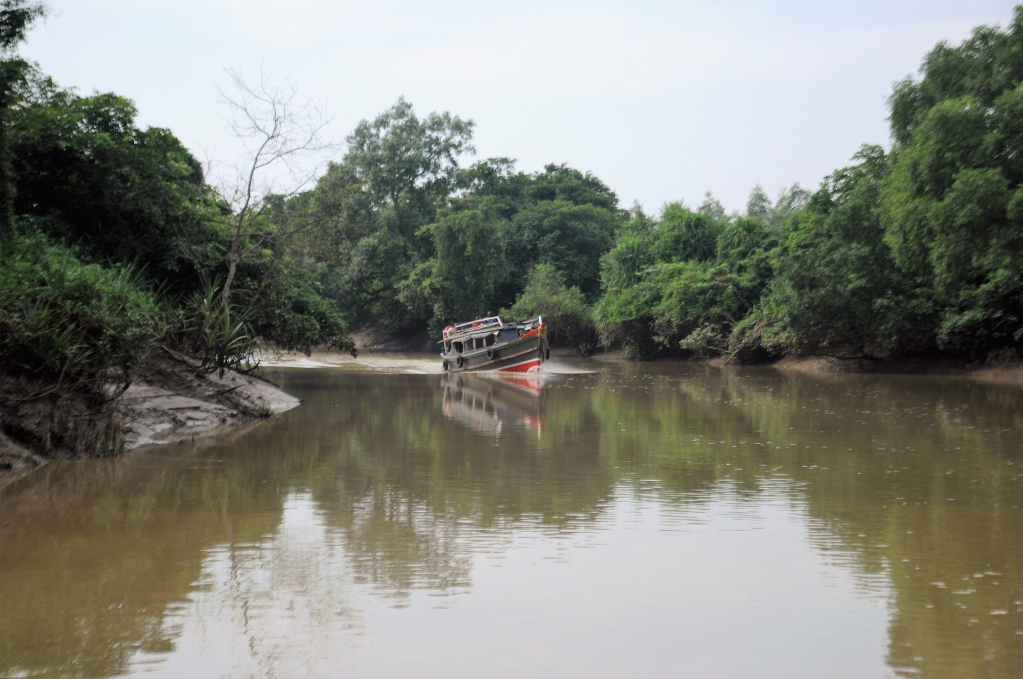 Bhitarkanika National Park
