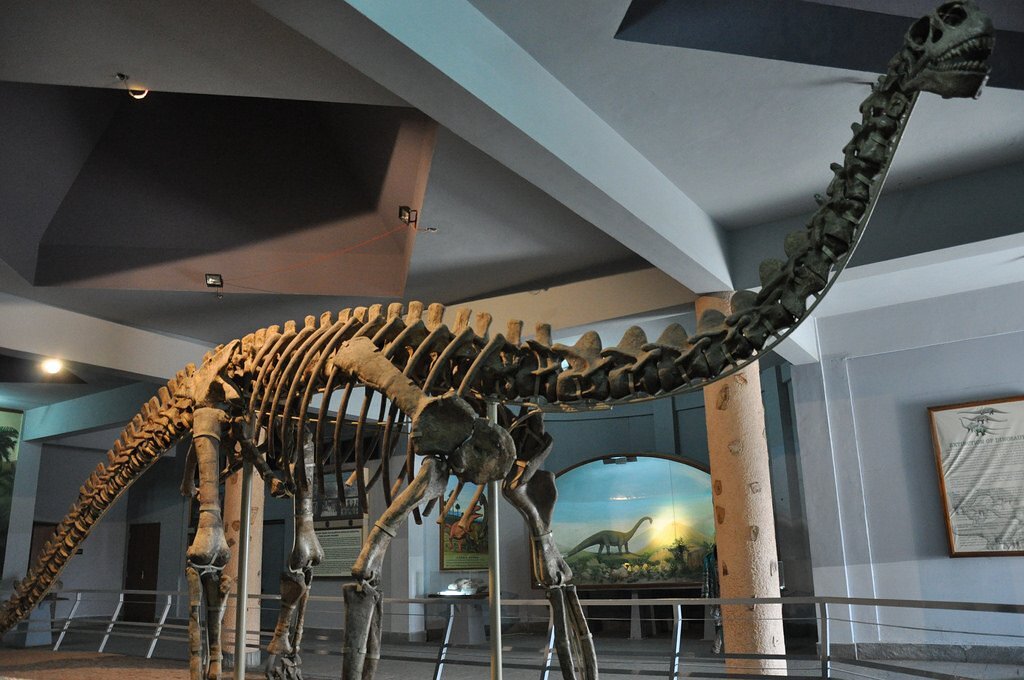Birla Planetarium