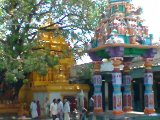 Brahmamgari Matam