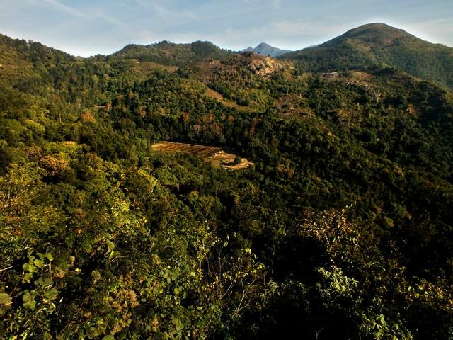 Koraput