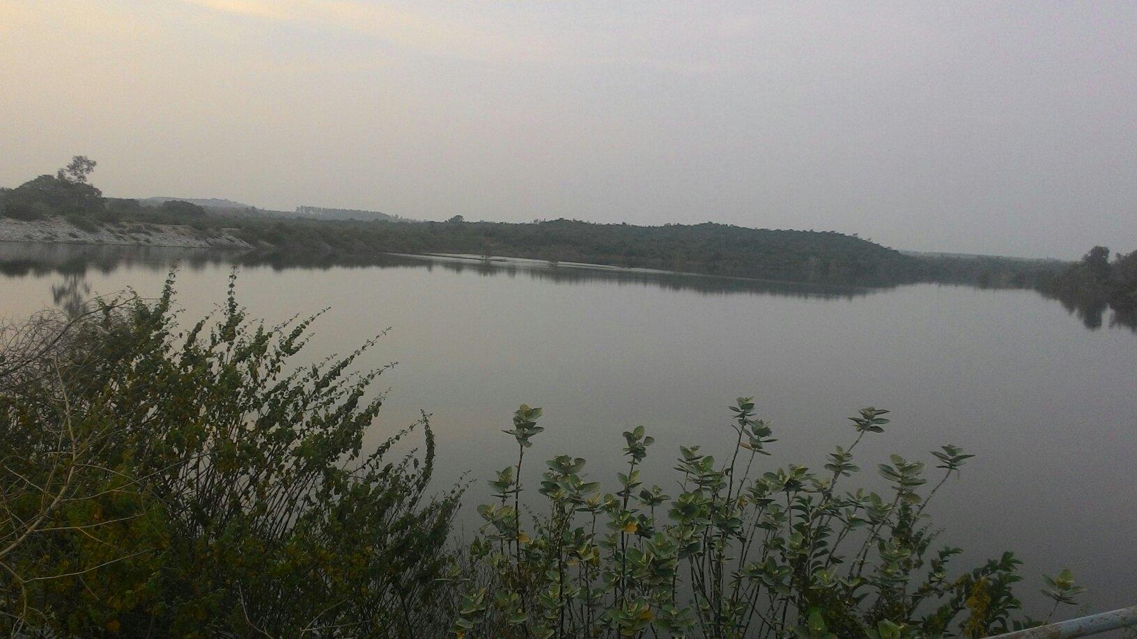 Koundinya Wildlife Sanctuary