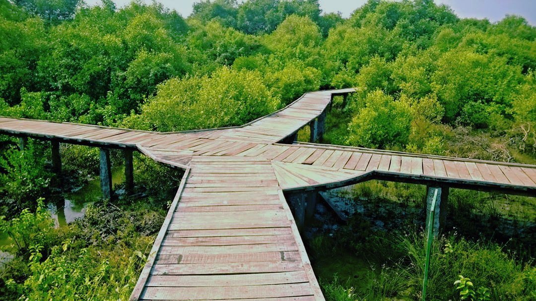 Krishna Wildlife Sanctuary