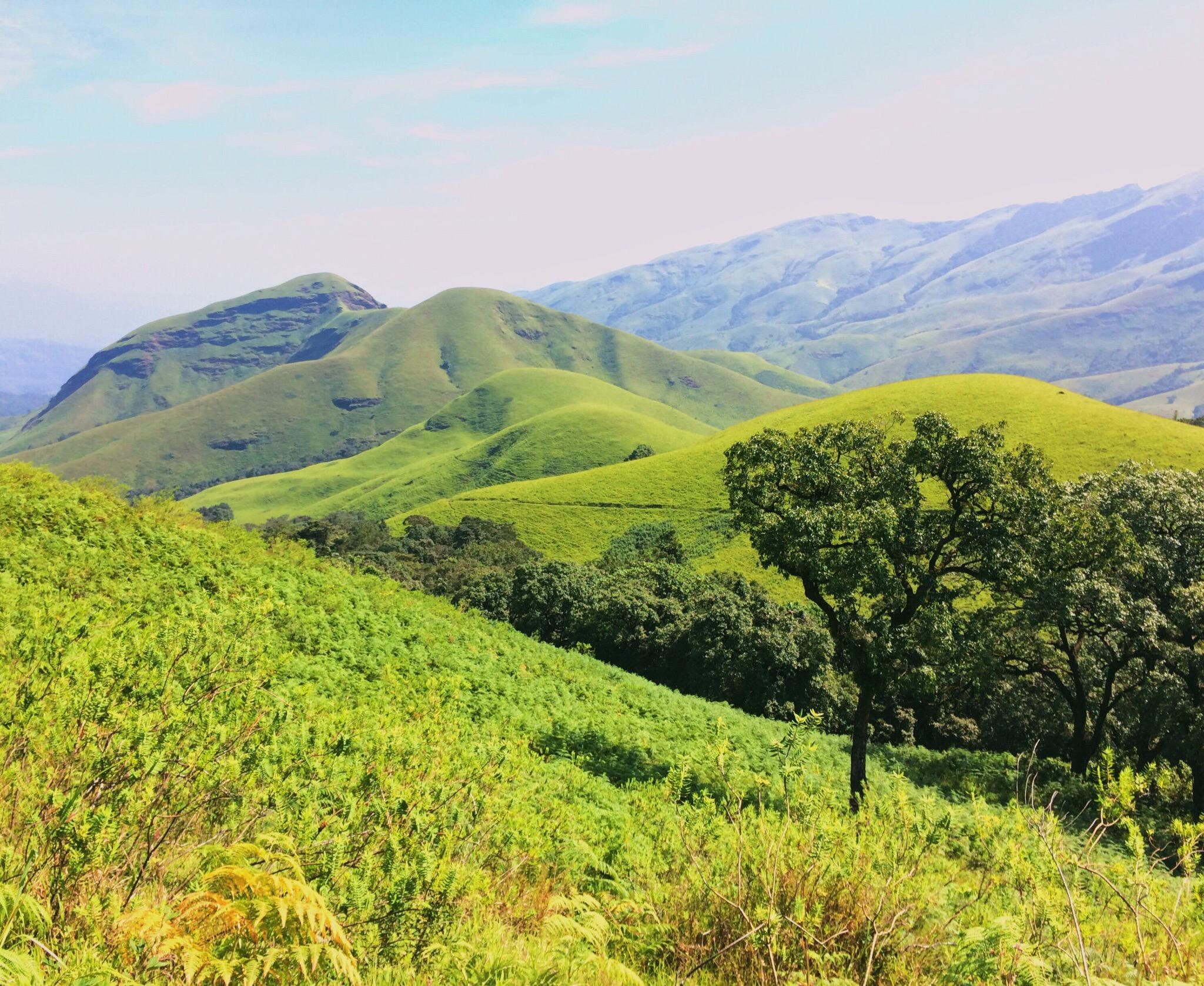 Kudremukh National Park
