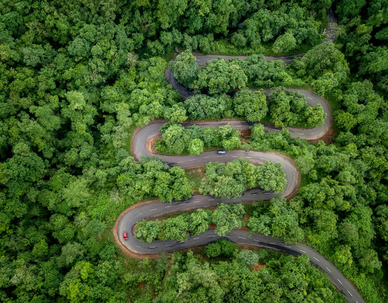 Maredumilli Forest