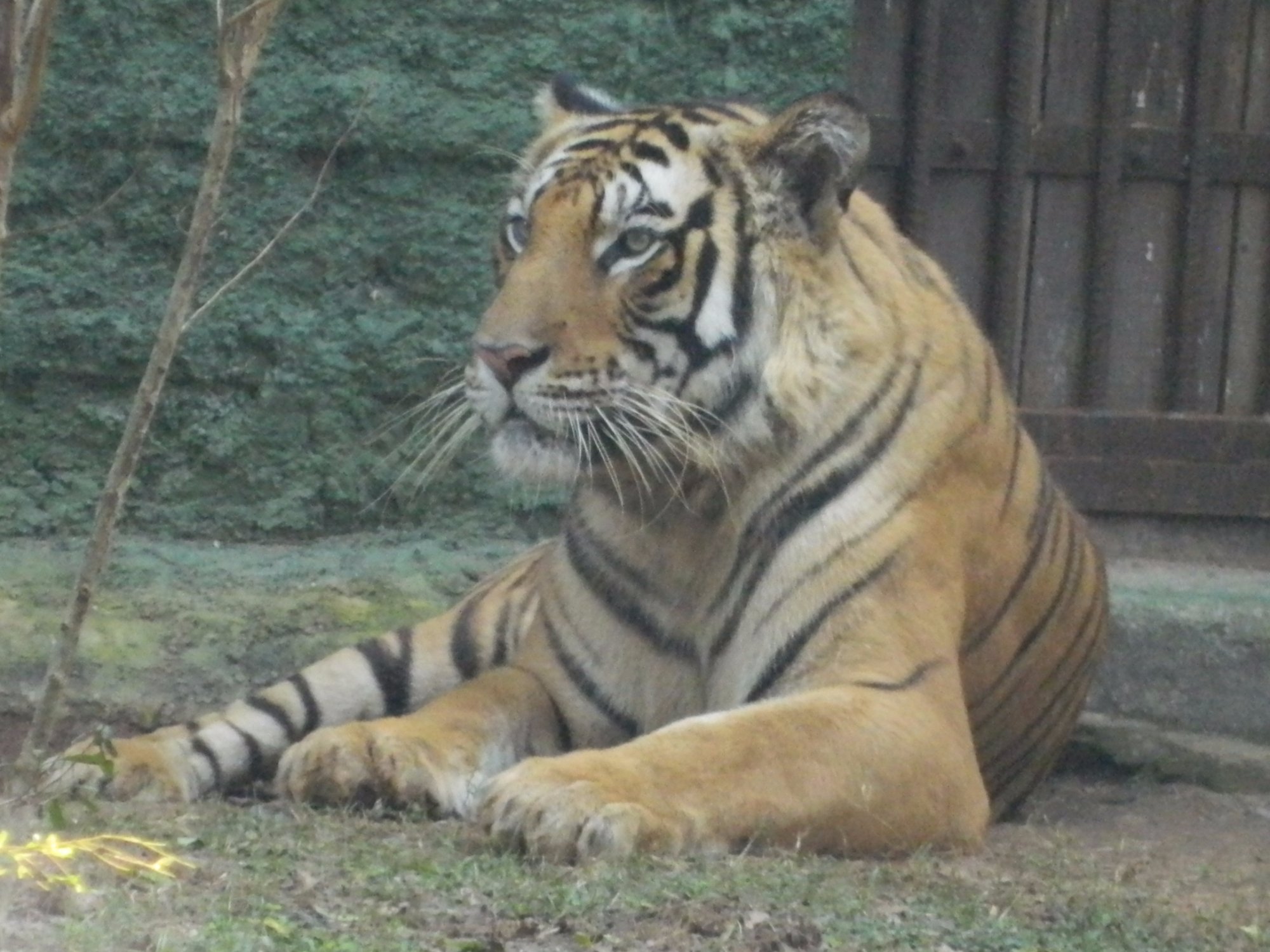Nandankanan Zoological Park