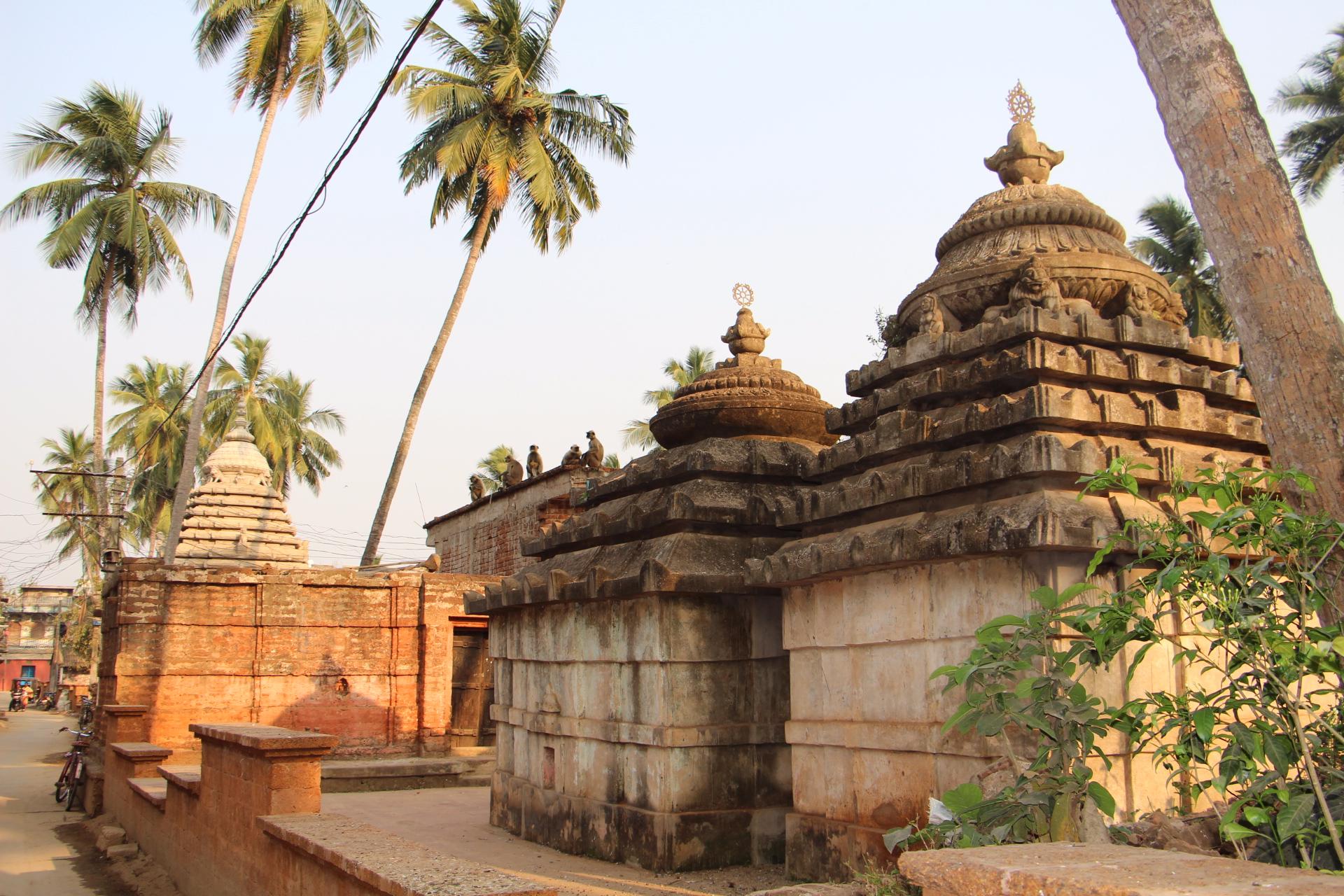 Raghurajpur Artist Village