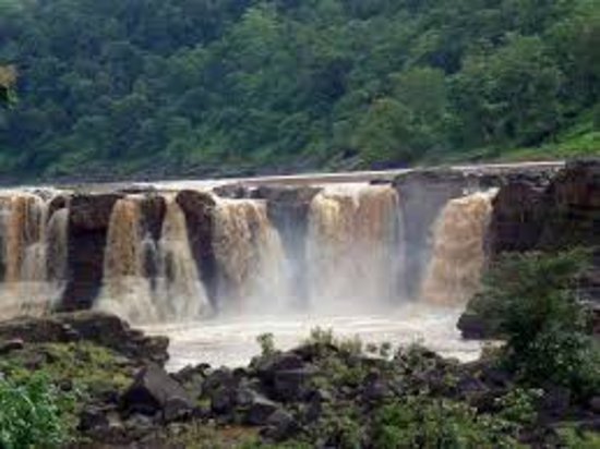 Vansda National Park