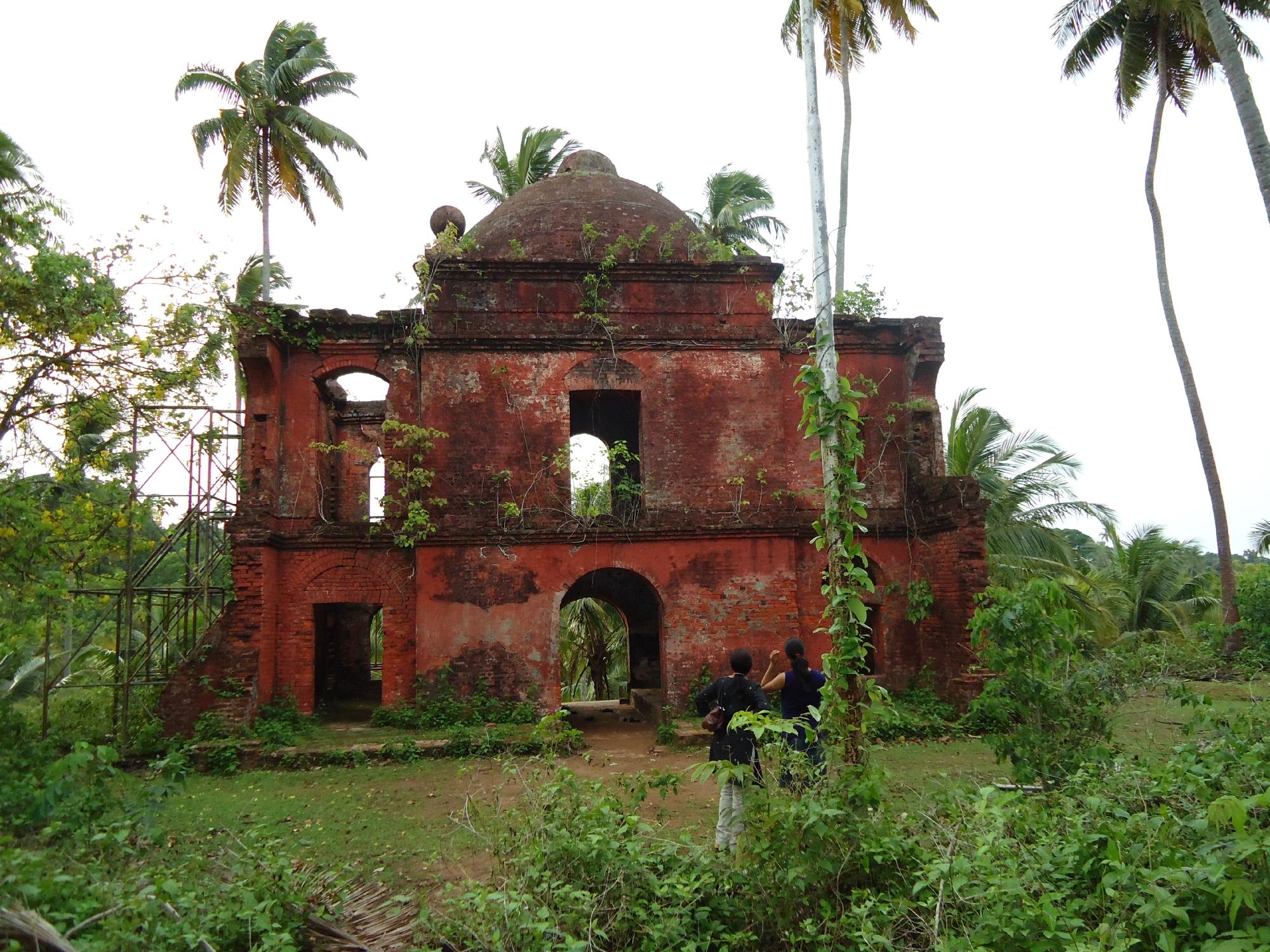 Viper Island