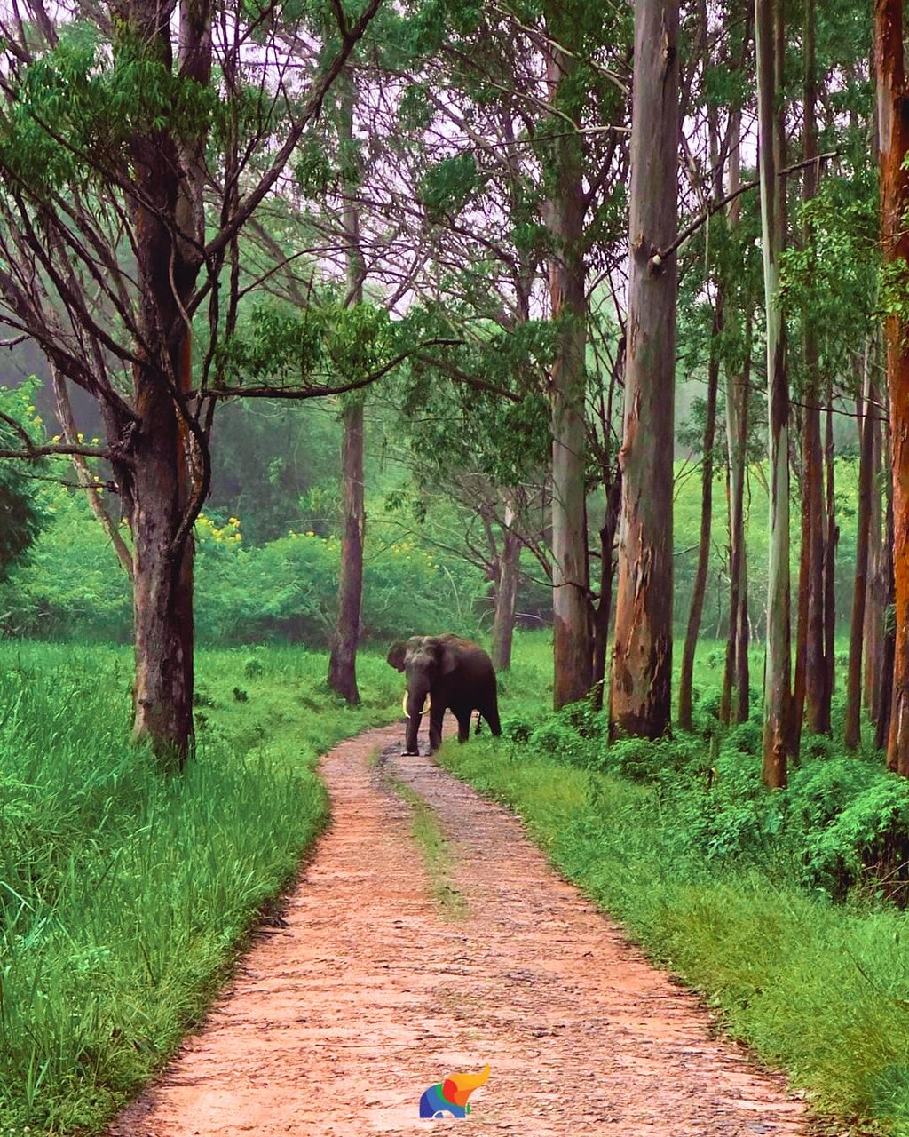 Wayanad