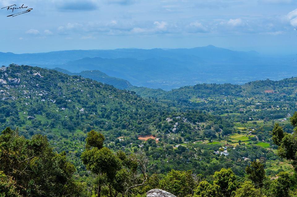 Yelagiri Hills