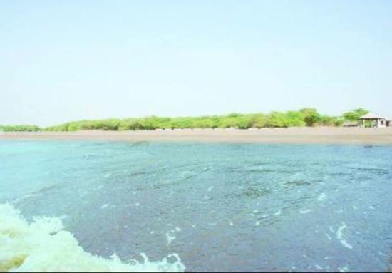 Ghogha Beach