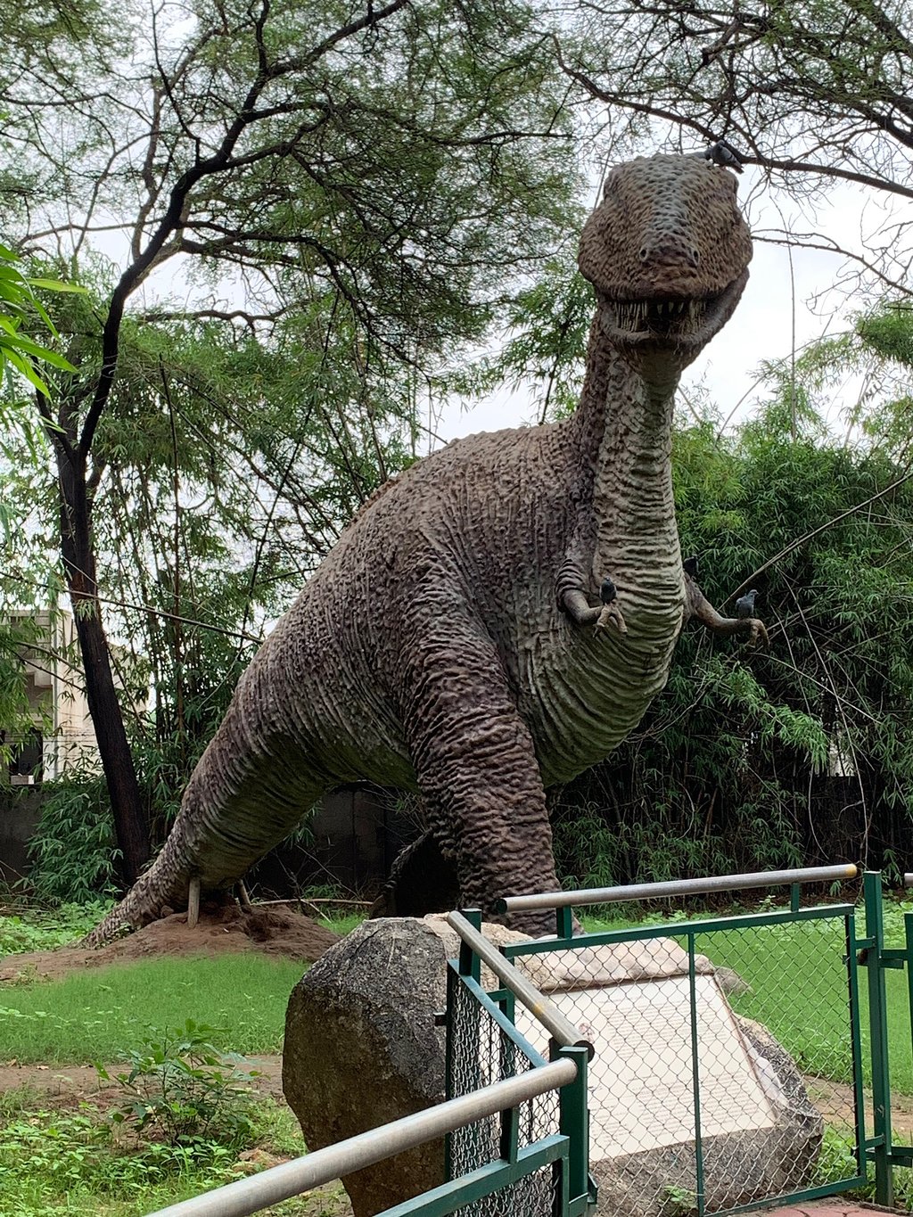 Indroda Nature Park