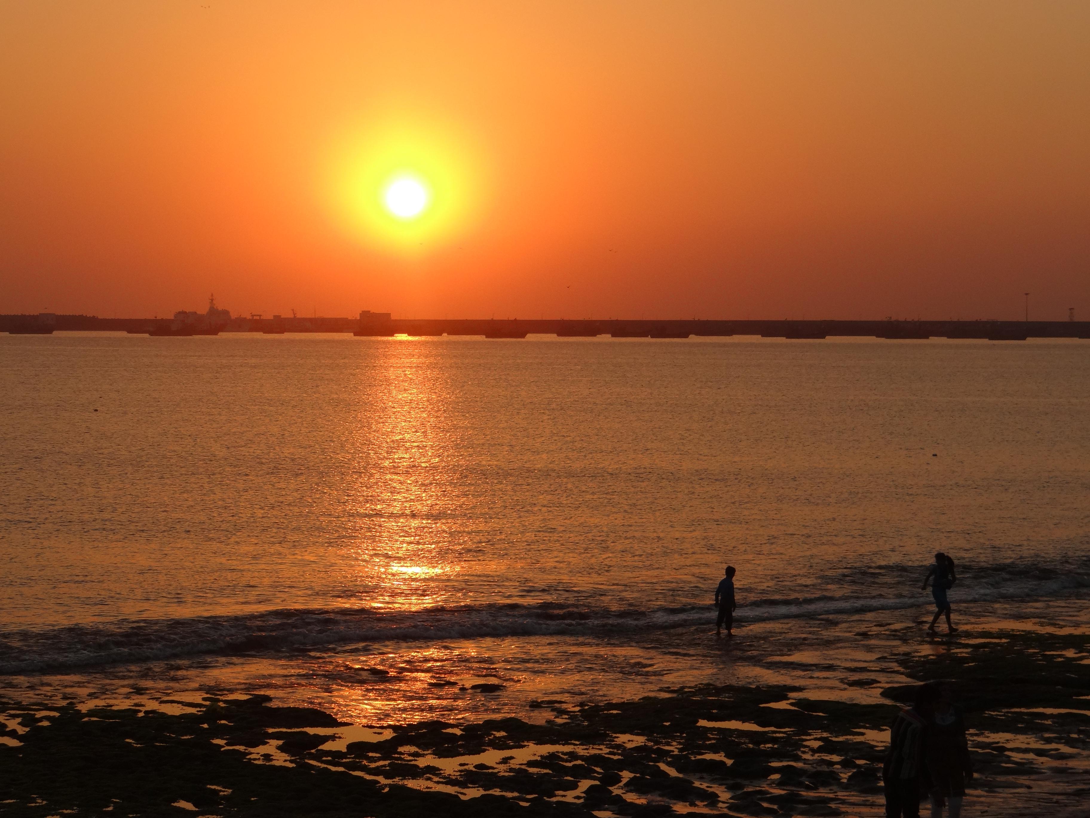 Porbandar Bird Sanctuary