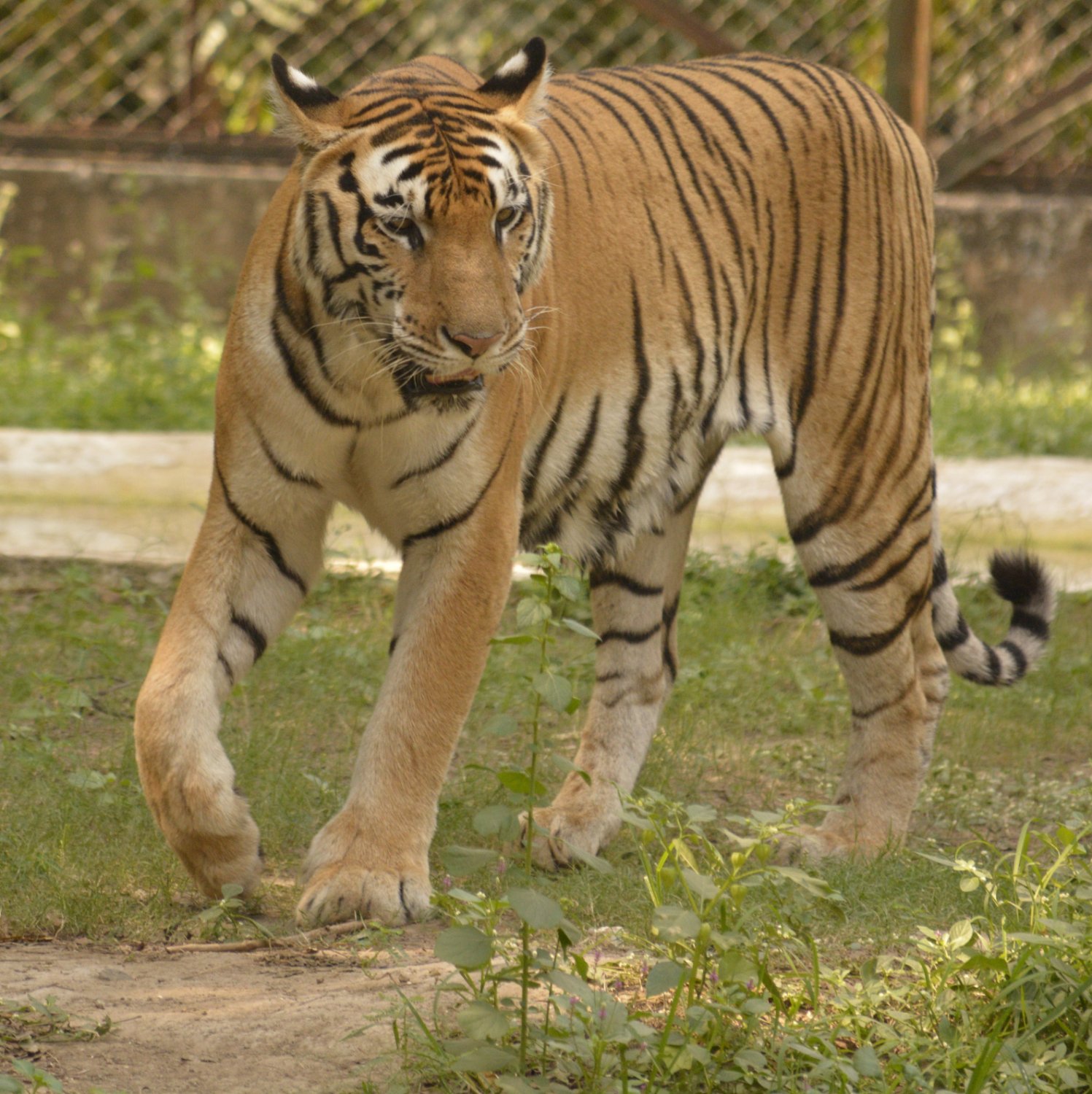 Sarthana Nature Park