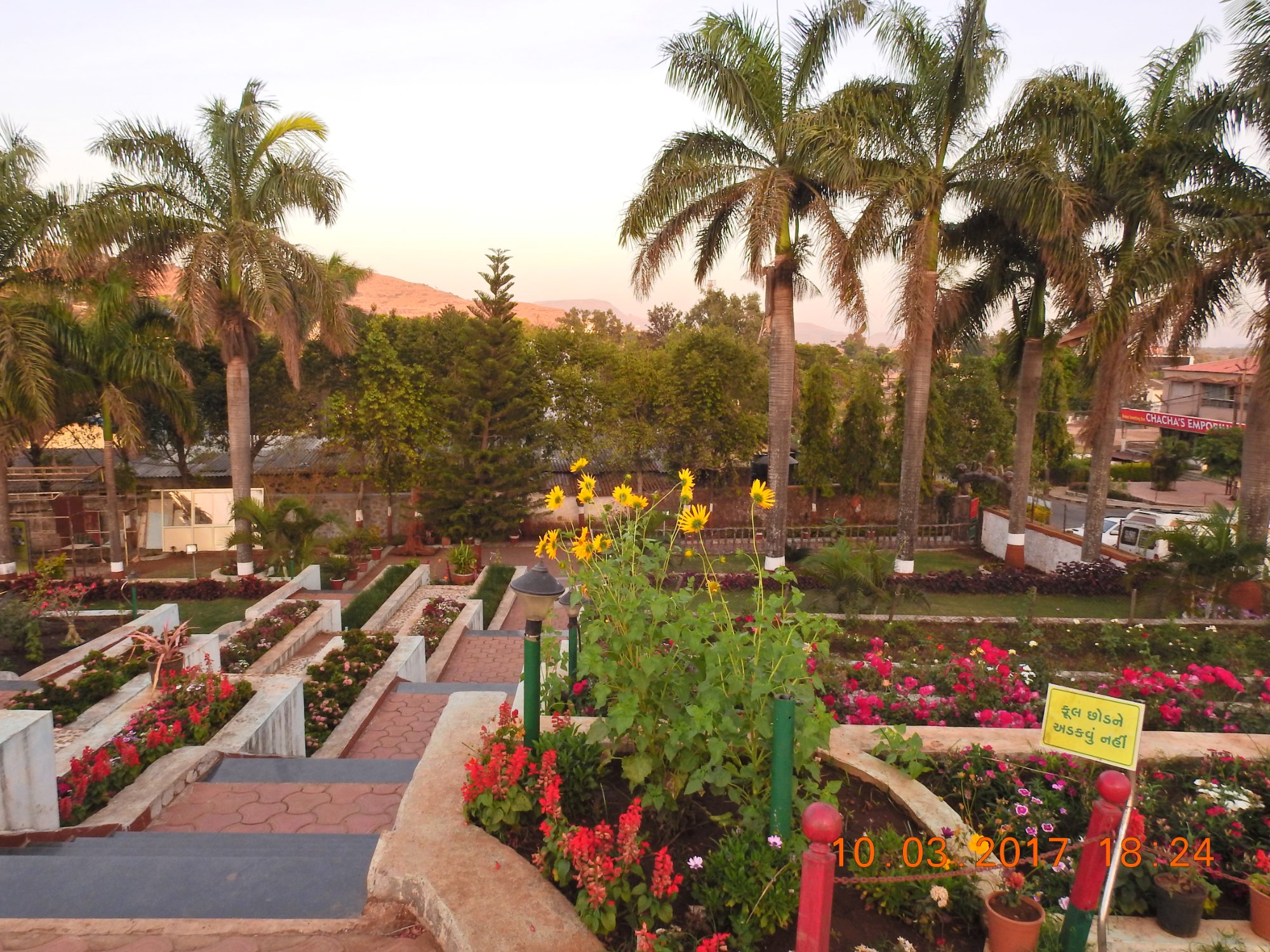 Step Garden