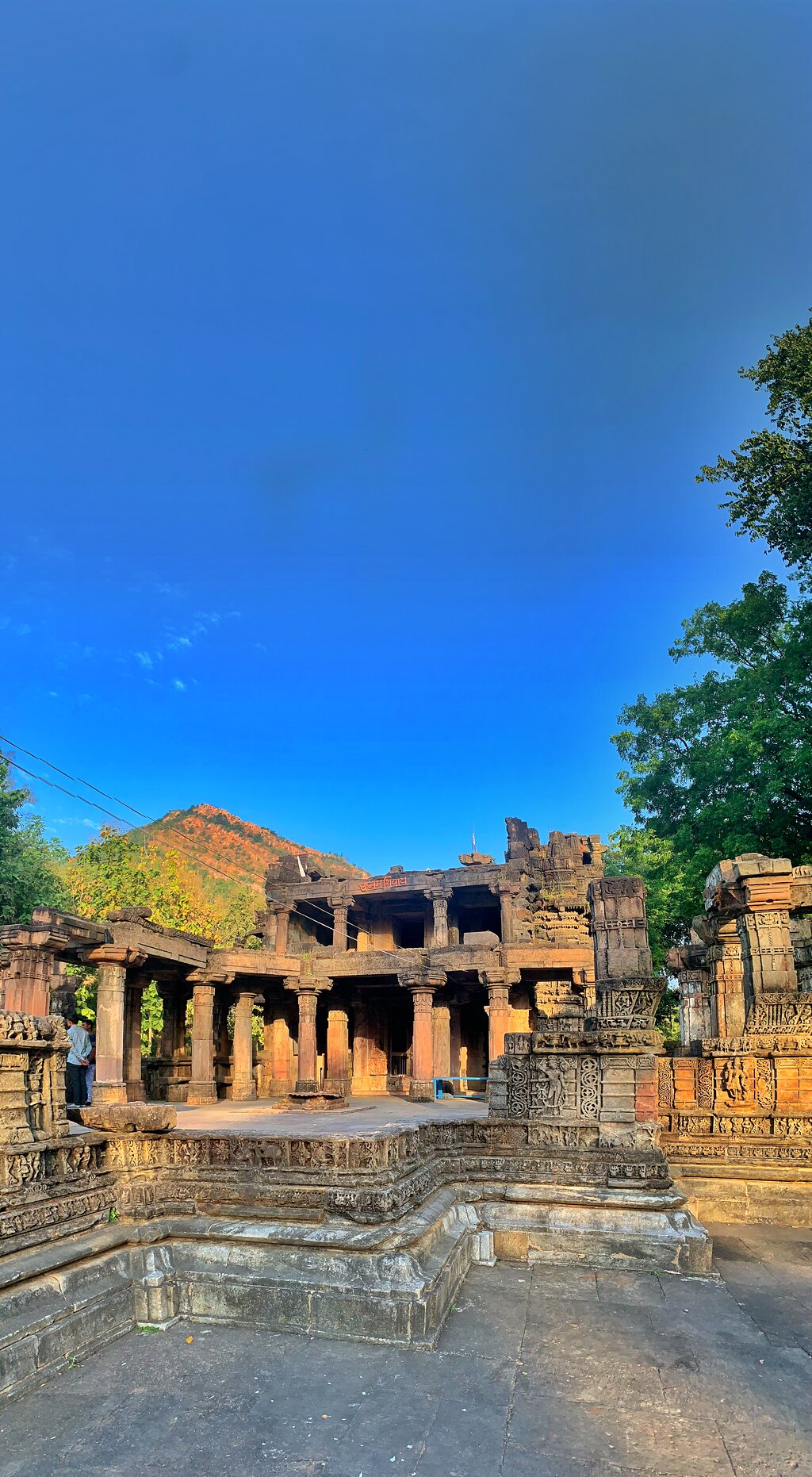 Vijaynagar Forest