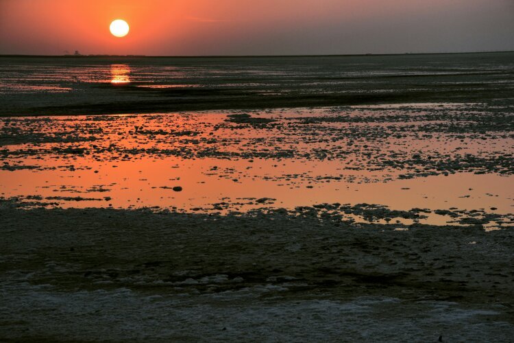 White Desert (Rann of Kutch)