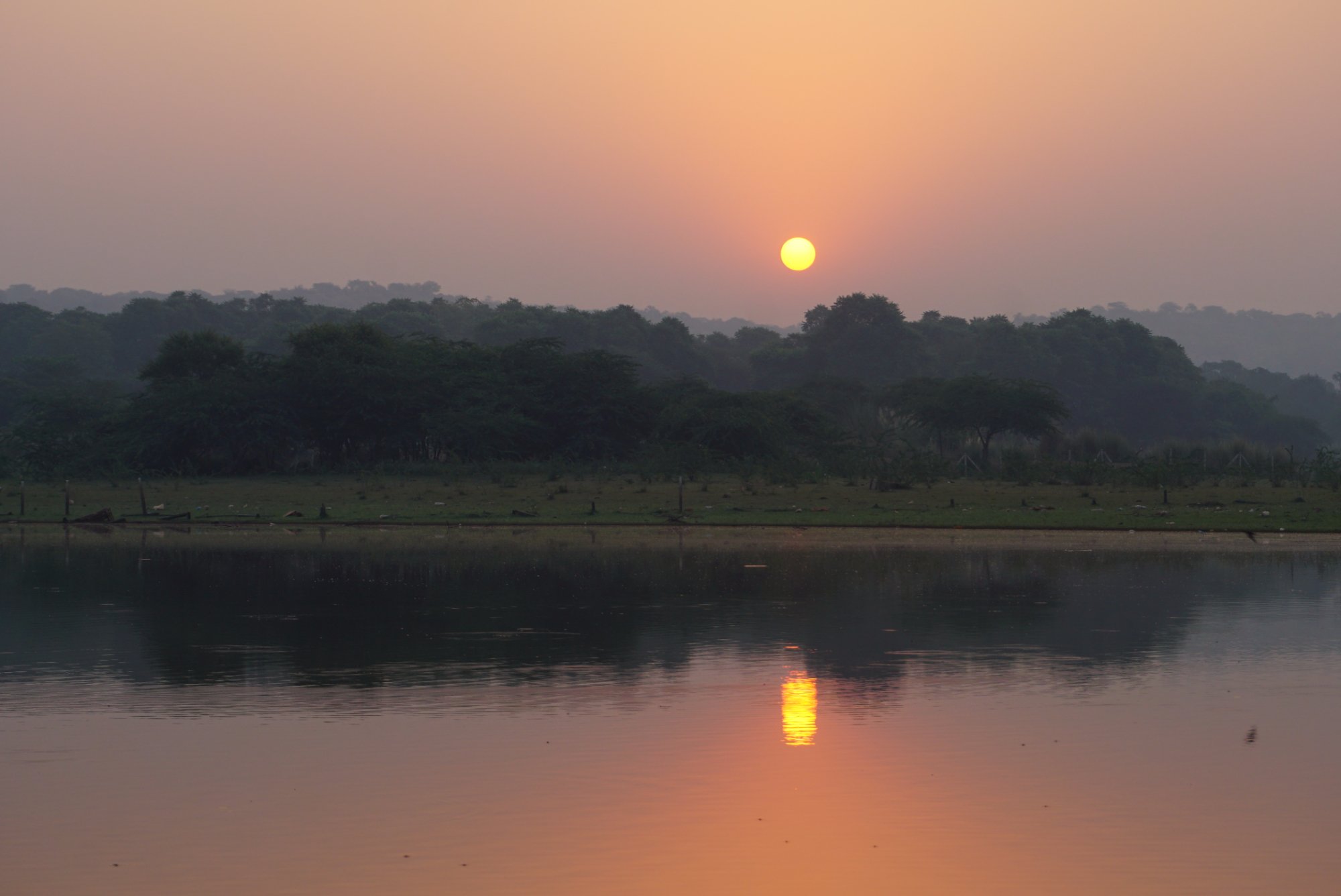 Damdama Lake