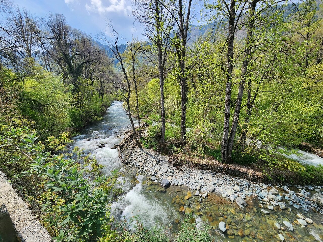 Dachigam National Park