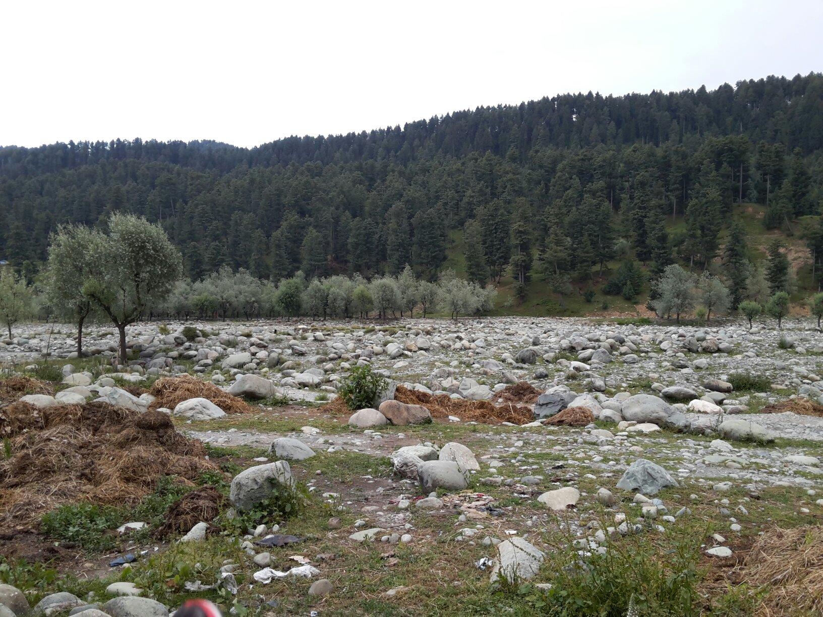 Ferozepur Nallah