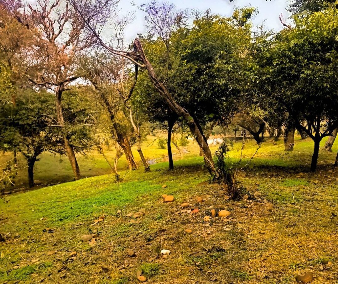 Jammu Zoo