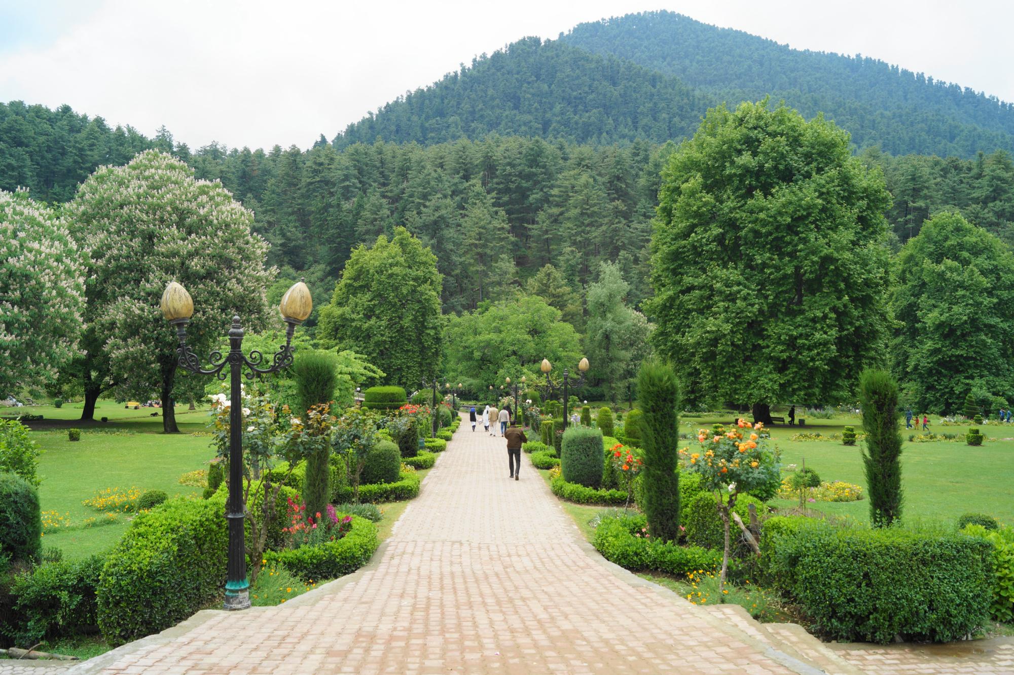 Kokernag