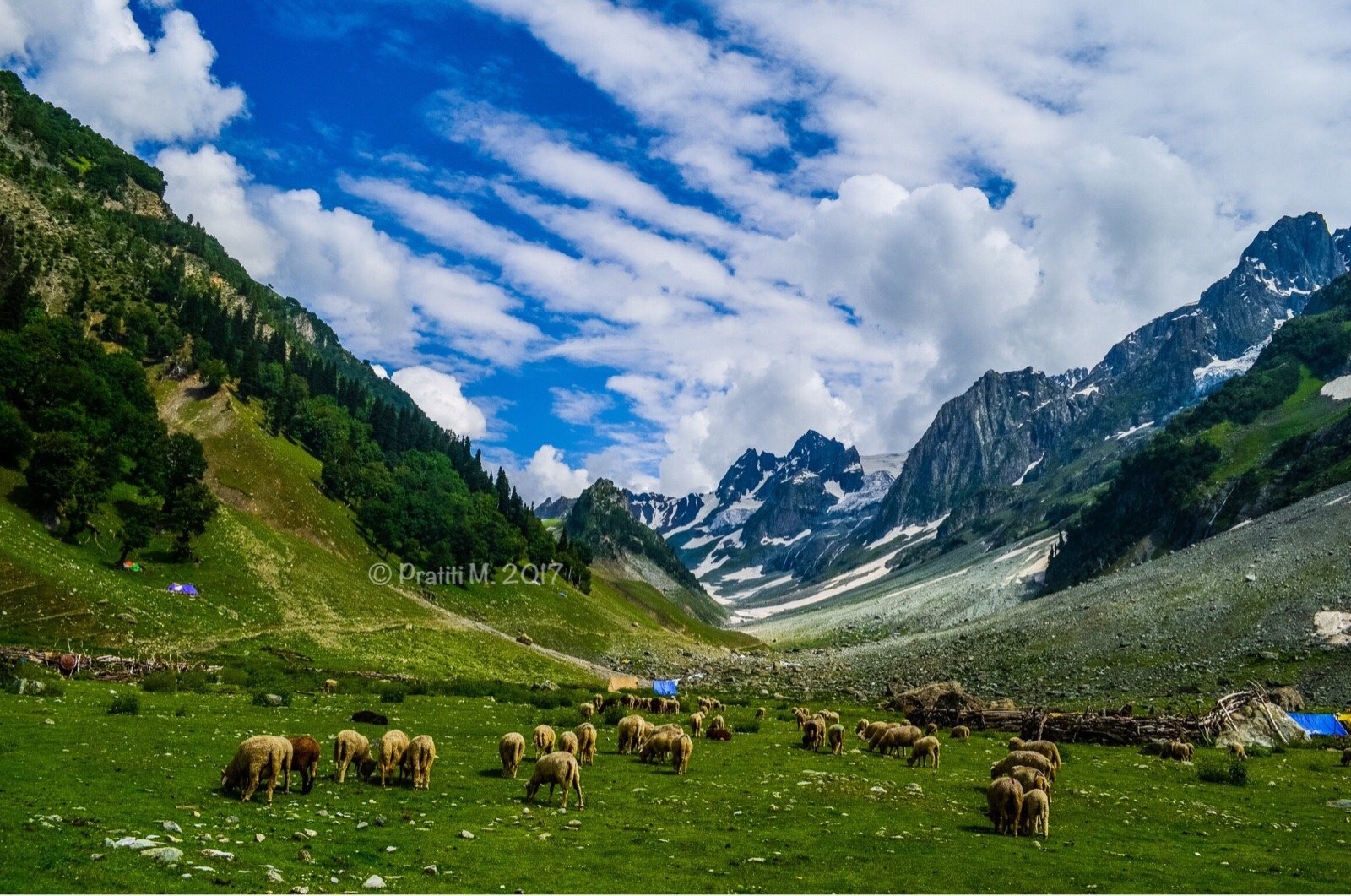 Thajiwas Glacier