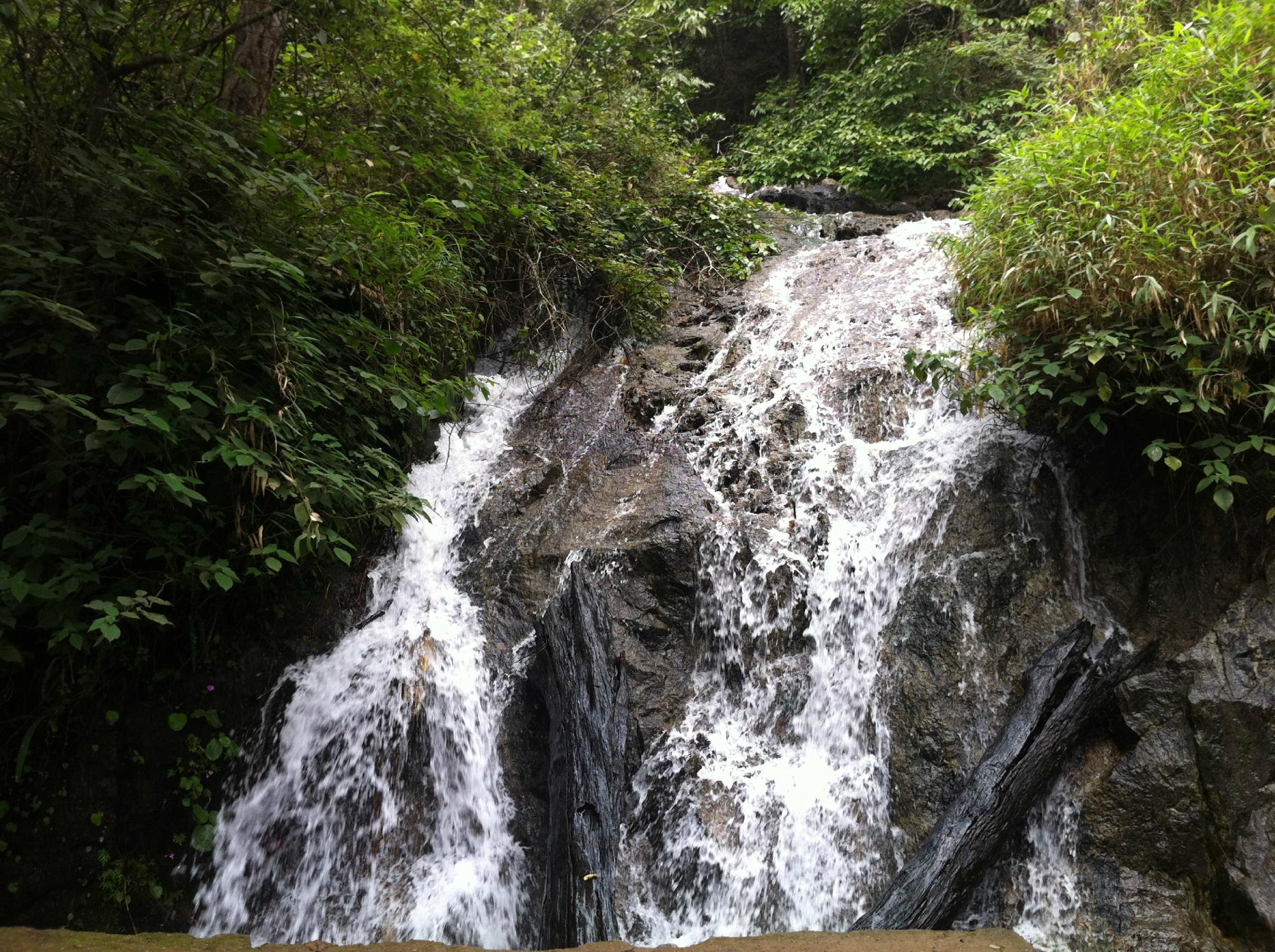Silent Valley National Park