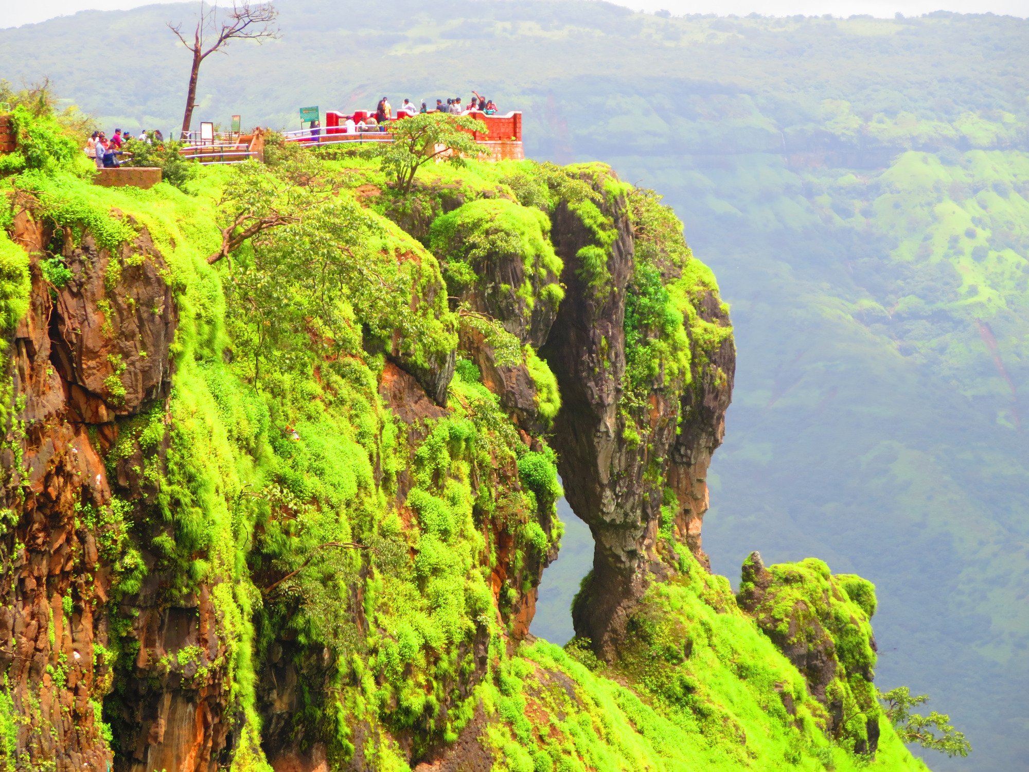 Elephant's Head Point