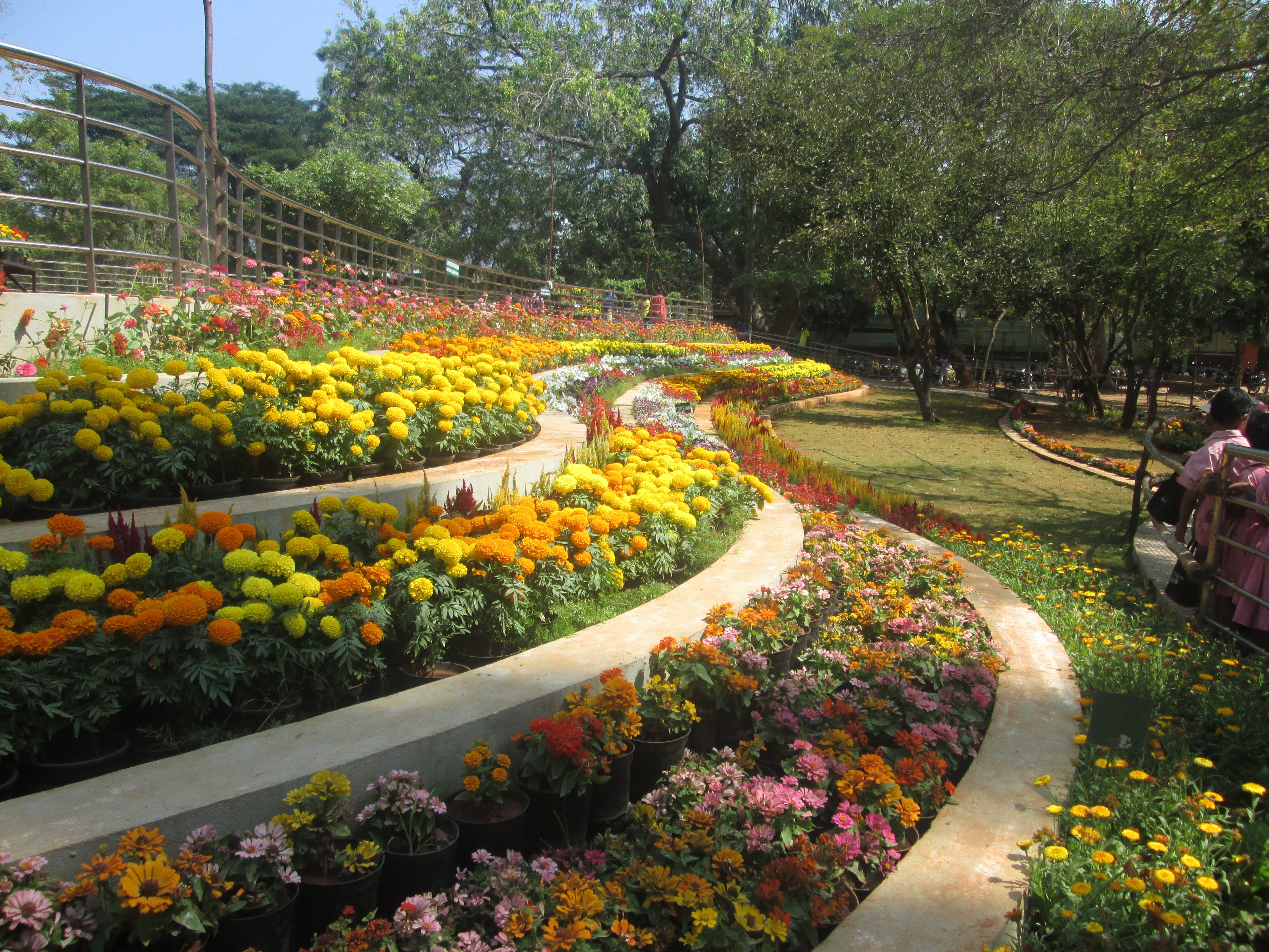 Botanical Gardens, Puducherry
