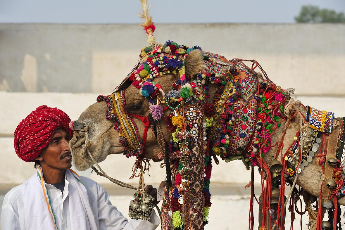 Peace Park, Rajasthan