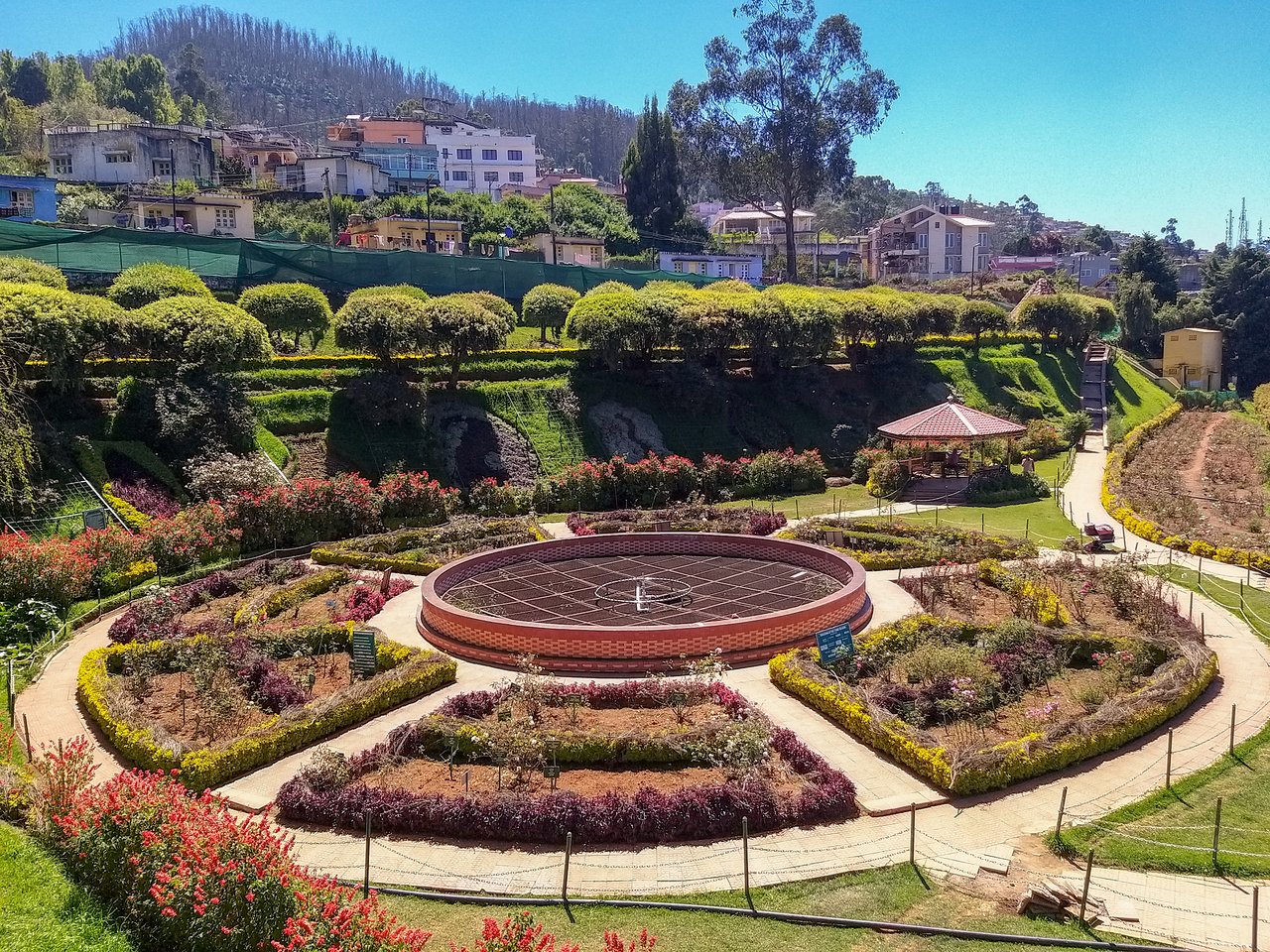 Government Botanical Gardens, Ooty