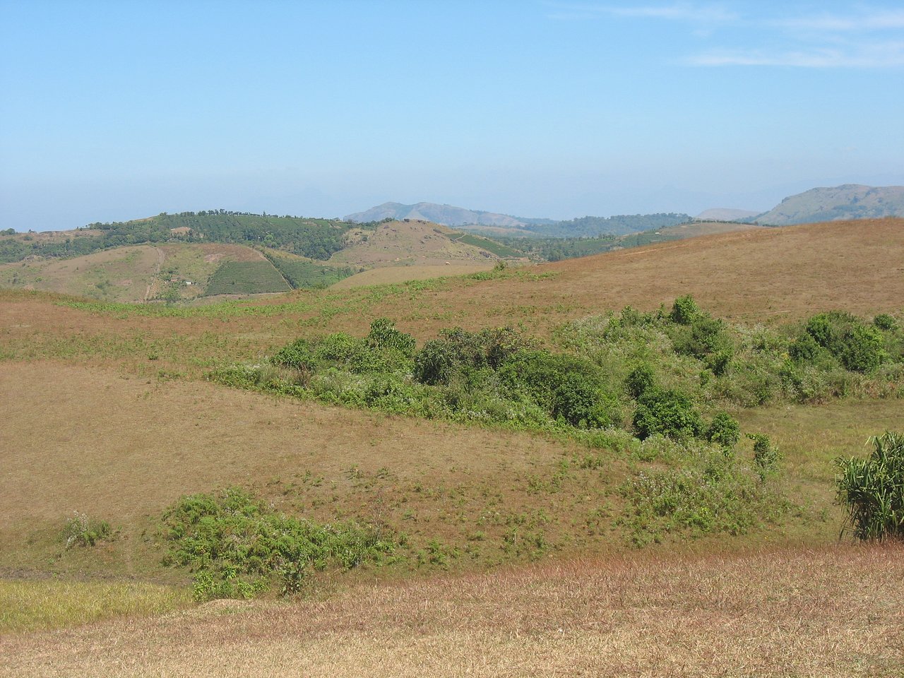 Kottathavalam