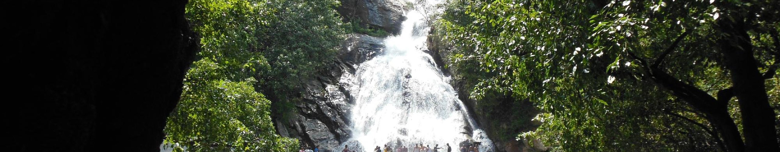 Monkey Falls