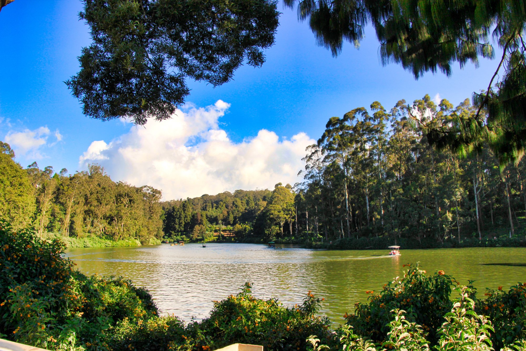 Ooty Golf Course