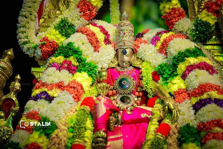 Pazhamudhircholai