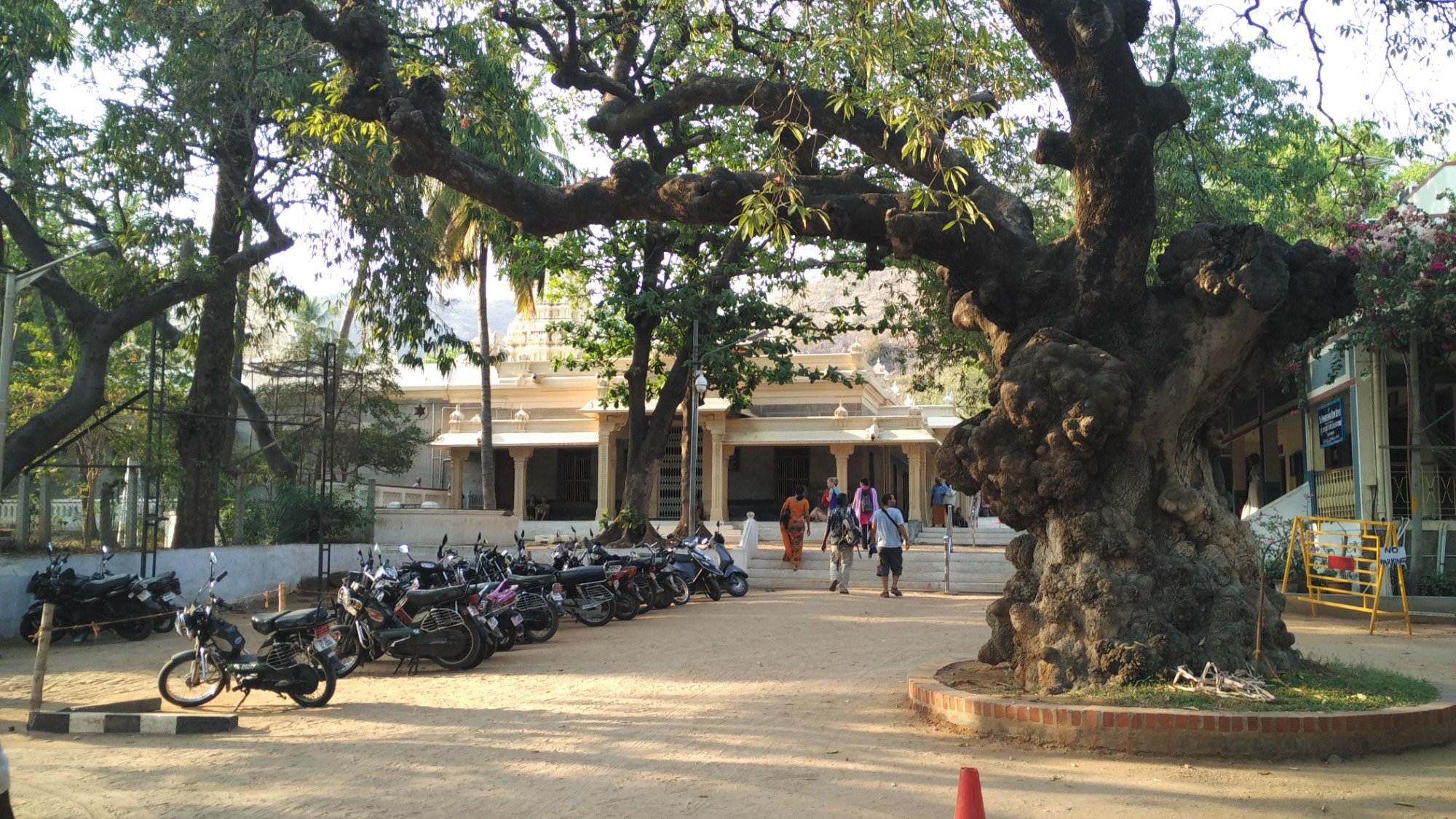 Sri Ramana Ashram