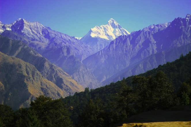 Ali Bugyal
