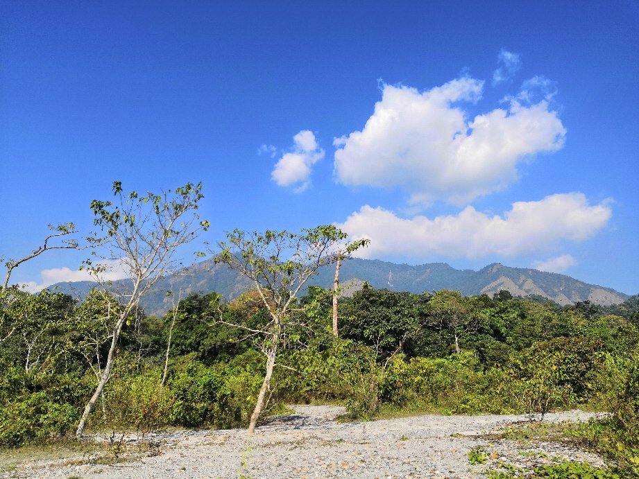 Jayanti Hills