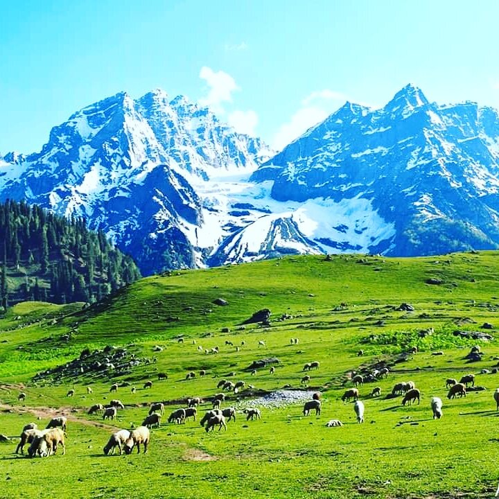 Nathu La Pass